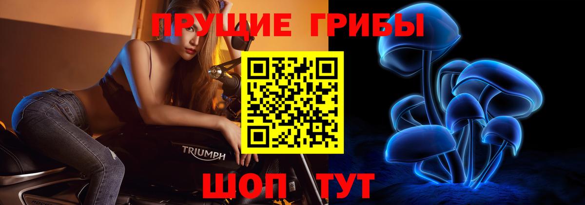 Канаш  Псилоцибиновые грибы MAGIC MUSHROOMS  Вход с VPN 